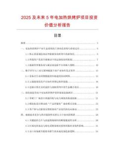 2025及未來(lái)5年電加熱烘烤爐項(xiàng)目投資價(jià)值分析報(bào)告