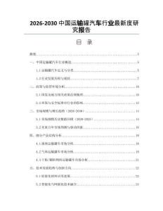 2026-2030中國(guó)運(yùn)輸罐汽車行業(yè)最新度研究報(bào)告