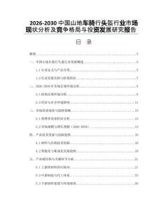 2026-2030中國(guó)山地車騎行頭盔行業(yè)市場(chǎng)現(xiàn)狀分析及競(jìng)爭(zhēng)格局與投資發(fā)展研究報(bào)告