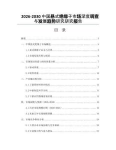 2026-2030中國懸式絕緣子市場深度調(diào)查與發(fā)展趨勢研究研究報告