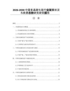 2026-2030中國(guó)多晶碳化硅行業(yè)發(fā)展?fàn)顩r與前景態(tài)勢(shì)研究研究報(bào)告