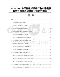 2026-2030中國操縱桿手柄行業市場發展趨勢與前景展望戰略分析研究報告