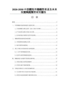2026-2030中國鋼瓶市場銷售渠道及未來投資風(fēng)險預(yù)警研究報告