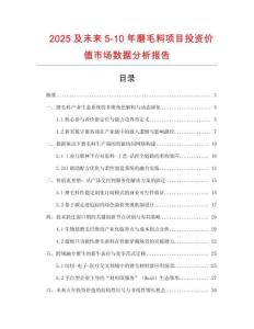 2025及未來5-10年磨毛料項目投資價值市場數據分析報告