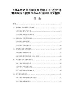 2026-2030中國椰麥果肉椰子汁行業市場發展現狀及競爭格局與投資前景研究報告