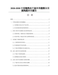 2026-2030中國電熱板行業供需趨勢及投資風險研究報告