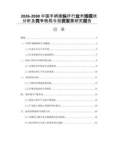 2026-2030中國(guó)手柄操縱桿行業(yè)市場(chǎng)現(xiàn)狀分析及競(jìng)爭(zhēng)格局與投資發(fā)展研究報(bào)告