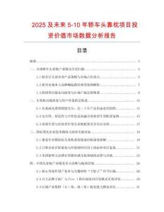 2025及未來5-10年轎車頭靠枕項目投資價值市場數(shù)據(jù)分析報告