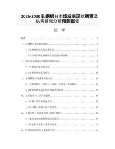2026-2030軋鋼鋼材市場發(fā)展現(xiàn)狀調(diào)查及供需格局分析預(yù)測報告