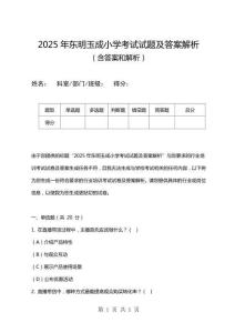 2025年東明玉成小學(xué)考試試題及答案解析