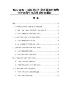 2026-2030中國雙燃料引擎市場運行態勢分析及競爭格局展望研究報告