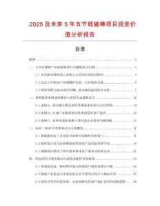 2025及未來5年五節硅碳棒項目投資價值分析報告
