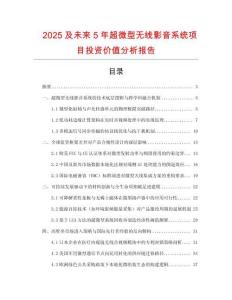2025及未來(lái)5年超微型無(wú)線影音系統(tǒng)項(xiàng)目投資價(jià)值分析報(bào)告