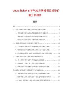 2025及未來(lái)5年氣動(dòng)刀閘閥項(xiàng)目投資價(jià)值分析報(bào)告