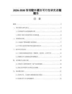 2026-2030管理軟件項(xiàng)目可行性研究咨詢報(bào)告