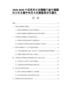 2026-2030中國莫西沙星側(cè)鏈行業(yè)市場現(xiàn)狀分析及競爭格局與投資發(fā)展研究報告