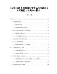 2026-2030中國電錘行業(yè)市場深度調(diào)研及前景趨勢與投資研究報告