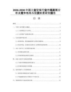 2026-2030中國(guó)工業(yè)型煤行業(yè)市場(chǎng)發(fā)展分析及競(jìng)爭(zhēng)格局與投資前景研究報(bào)告