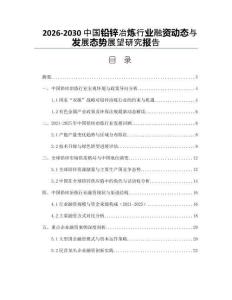 2026-2030中國鉛鋅冶煉行業(yè)融資動態(tài)與發(fā)展態(tài)勢展望研究報告