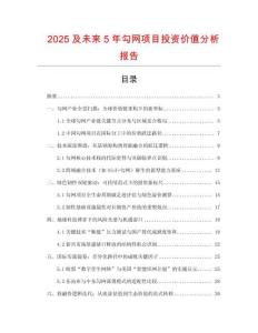 2025及未來5年勾網(wǎng)項目投資價值分析報告