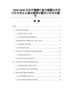 2026-2030反裝甲導彈行業市場現狀供需分析及重點企業投資評估規劃分析研究報告