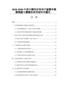 2026-2030中國中間相炭微球行業競爭優勢風險與營銷策略探討研究報告