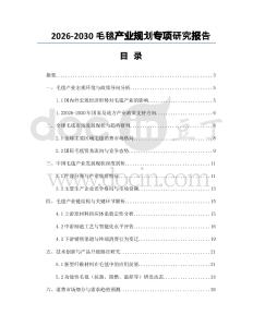 2026-2030毛毯產業規劃專項研究報告