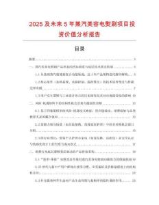 2025及未來5年蒸汽美容電熨刷項目投資價值分析報告