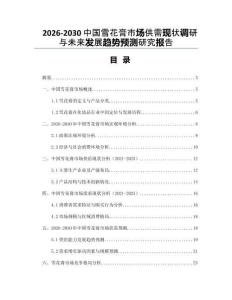 2026-2030中國雪花膏市場供需現狀調研與未來發展趨勢預測研究報告