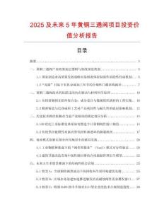 2025及未來5年黃銅三通閥項目投資價值分析報告