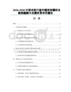 2026-2030中國涼鞋行業市場深度調研及發展趨勢與投資前景研究報告