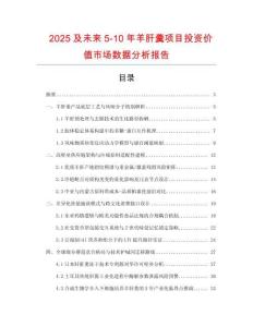 2025及未來5-10年羊肝羹項目投資價值市場數據分析報告