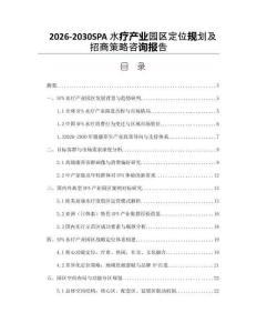 2026-2030SPA水療產(chǎn)業(yè)園區(qū)定位規(guī)劃及招商策略咨詢報告