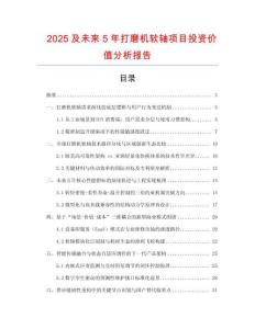 2025及未來5年打磨機(jī)軟軸項(xiàng)目投資價值分析報告