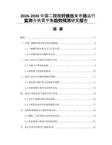 2026-2030中國二醋酸纖維絲束市場運行監測與供需平衡趨勢預測研究報告