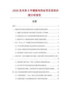 2025及未來5年鎳鉻電熱絲項目投資價值分析報告