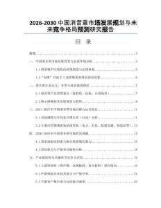 2026-2030中國消音罩市場發(fā)展規(guī)劃與未來競爭格局預(yù)測研究報(bào)告