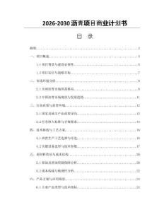 2026-2030瀝青項目商業(yè)計劃書