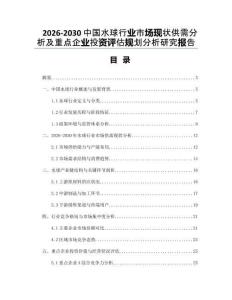 2026-2030中國水球行業(yè)市場現(xiàn)狀供需分析及重點(diǎn)企業(yè)投資評估規(guī)劃分析研究報(bào)告