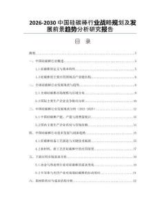 2026-2030中國硅碳棒行業戰略規劃及發展前景趨勢分析研究報告