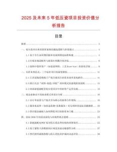 2025及未來5年低壓瓷項目投資價值分析報告