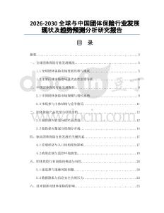 2026-2030全球與中國團體保險行業(yè)發(fā)展現(xiàn)狀及趨勢預測分析研究報告