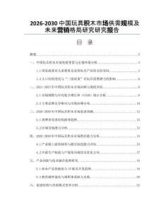2026-2030中國玩具積木市場供需規(guī)模及未來營銷格局研究研究報告
