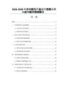 2026-2030中國保險箱行業(yè)運行態(tài)勢分析與應(yīng)用規(guī)模預測報告