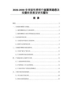 2026-2030全球磁性槽楔行業(yè)發(fā)展動(dòng)態(tài)及投資前景展望研究報(bào)告