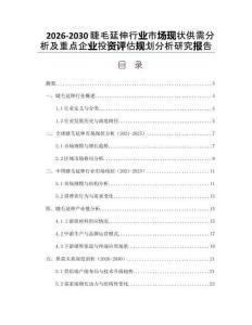 2026-2030睫毛延伸行業(yè)市場(chǎng)現(xiàn)狀供需分析及重點(diǎn)企業(yè)投資評(píng)估規(guī)劃分析研究報(bào)告