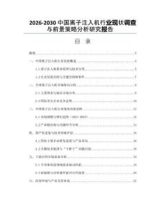 2026-2030中國離子注入機行業現狀調查與前景策略分析研究報告
