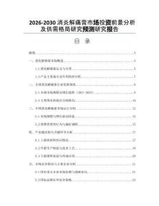 2026-2030消炎解痛膏市場投資前景分析及供需格局研究預測研究報告