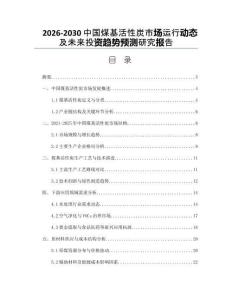2026-2030中國煤基活性炭市場運(yùn)行動態(tài)及未來投資趨勢預(yù)測研究報告