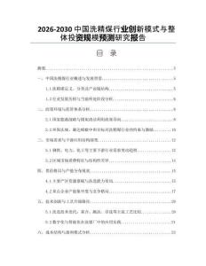 2026-2030中國洗精煤行業(yè)創(chuàng)新模式與整體投資規(guī)模預測研究報告